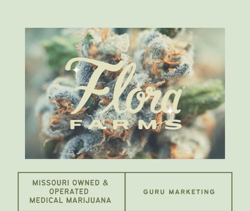 Guru Marketing & Missouri Medical Cannabis | SEO & More