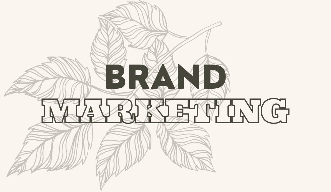 Why is Brand Marketing a Popular Strategy